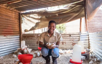Building more than a poultry business: Tebogo Moremi’s vision for rural growth